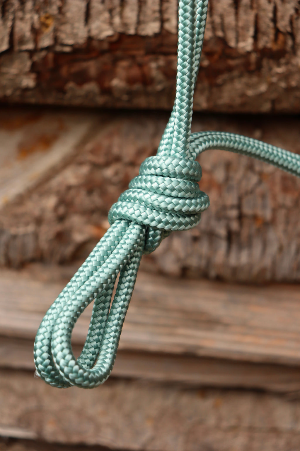 Licol Mykonos - Taille cob