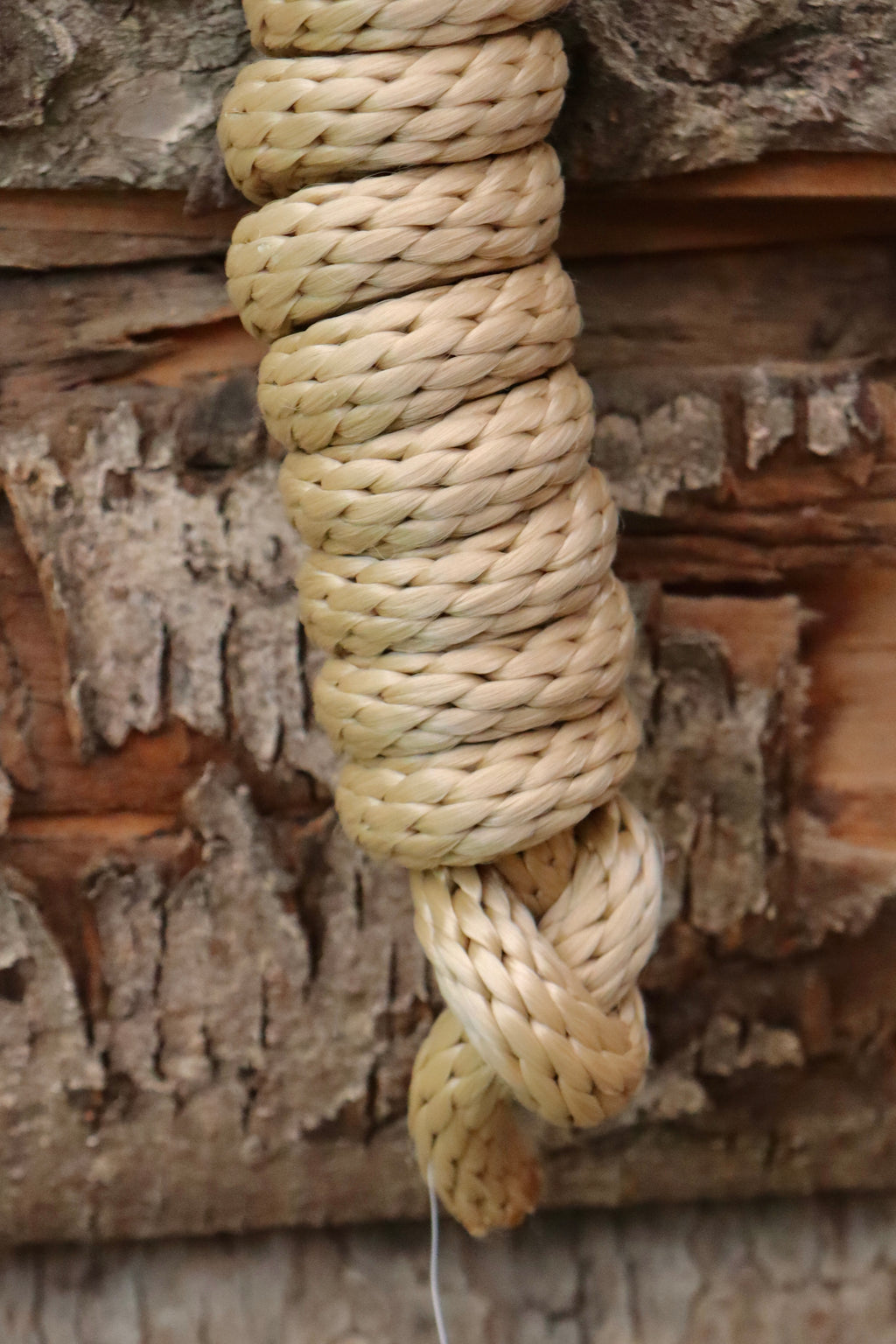 Longe d’attache - ~1.80m