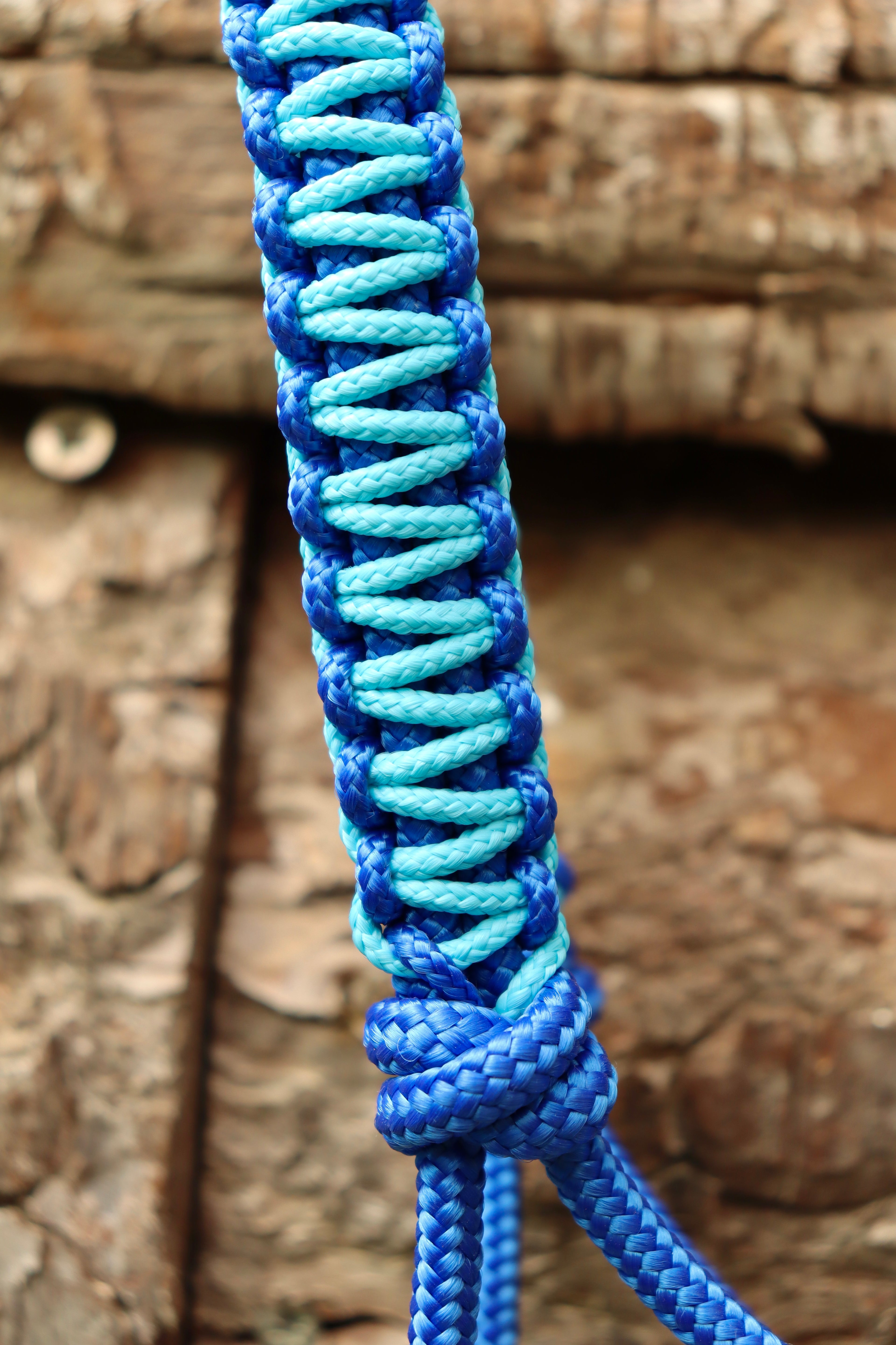 Licol Marrakech - taille cob