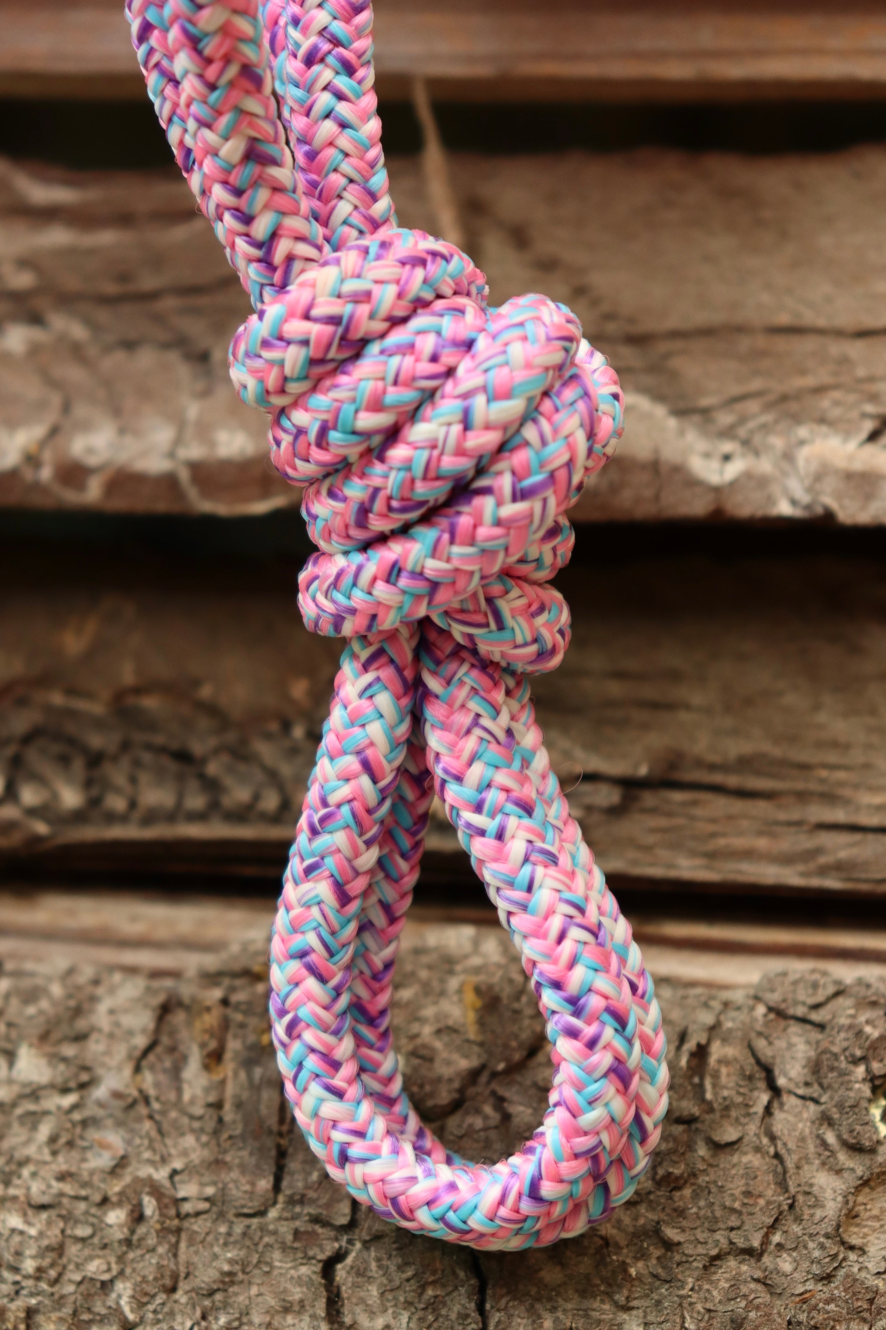 Licol floral - taille cob