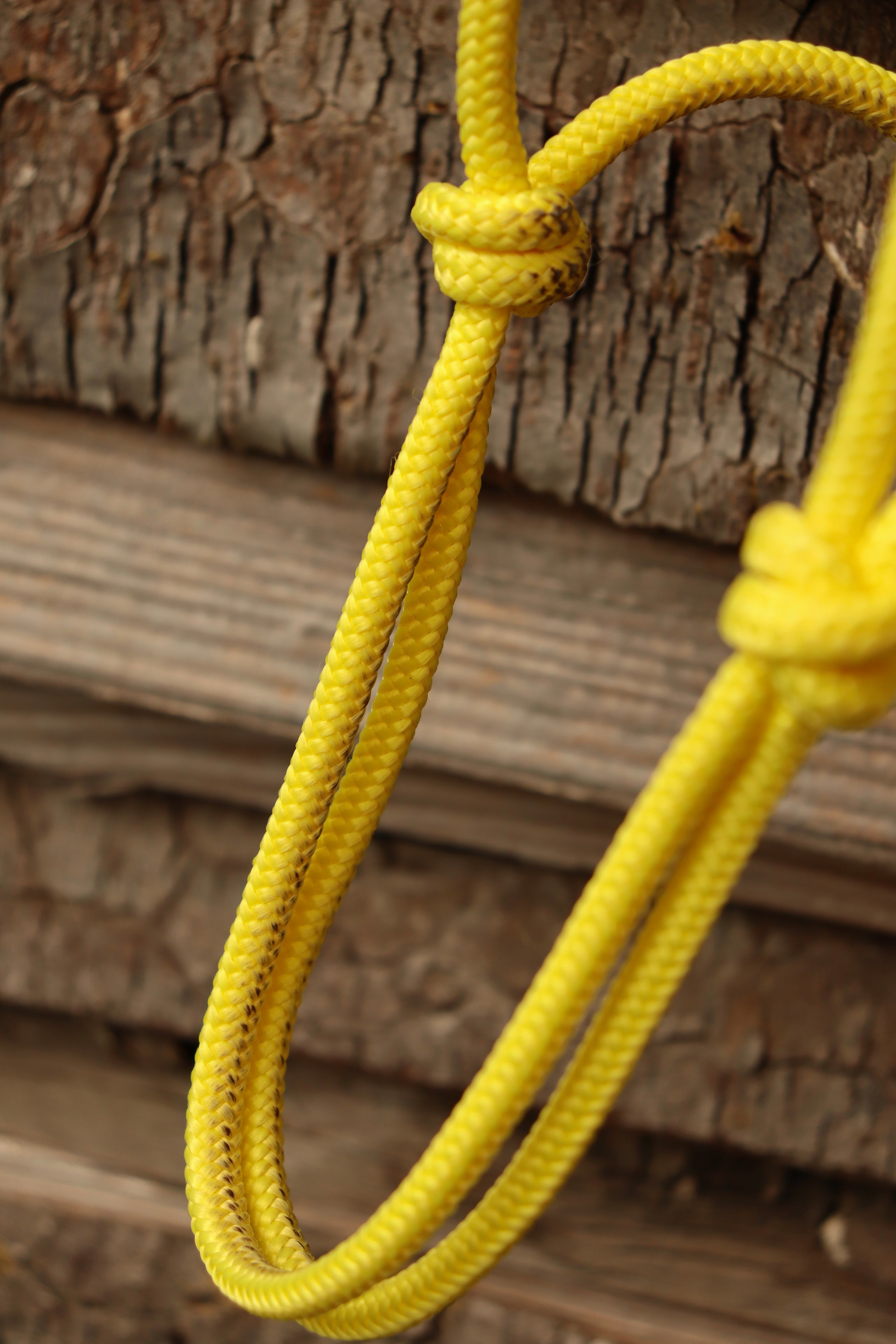 Ensemble d’occasion - Licol cob + longe 3,70m