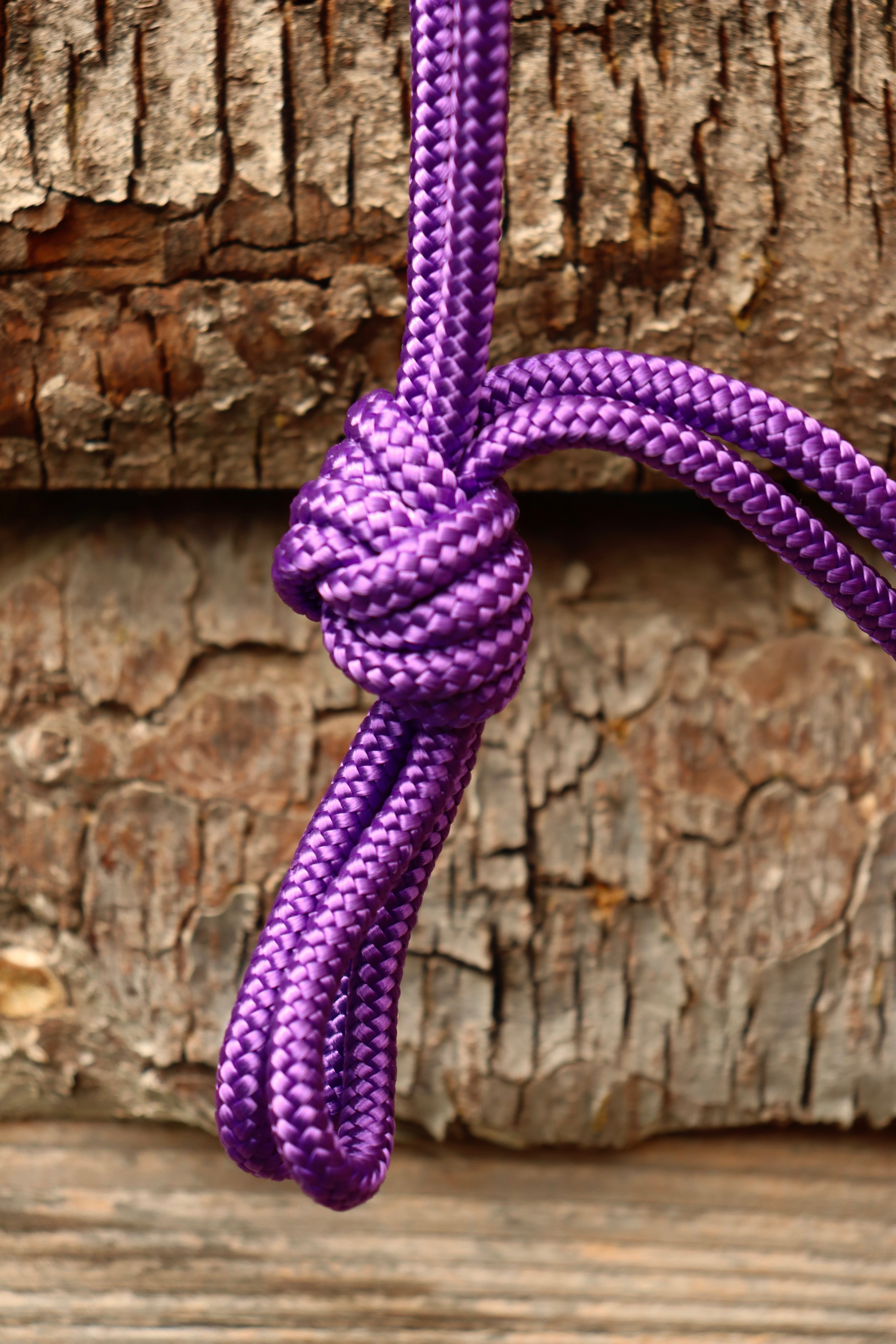 Licol Portofino - taille cob