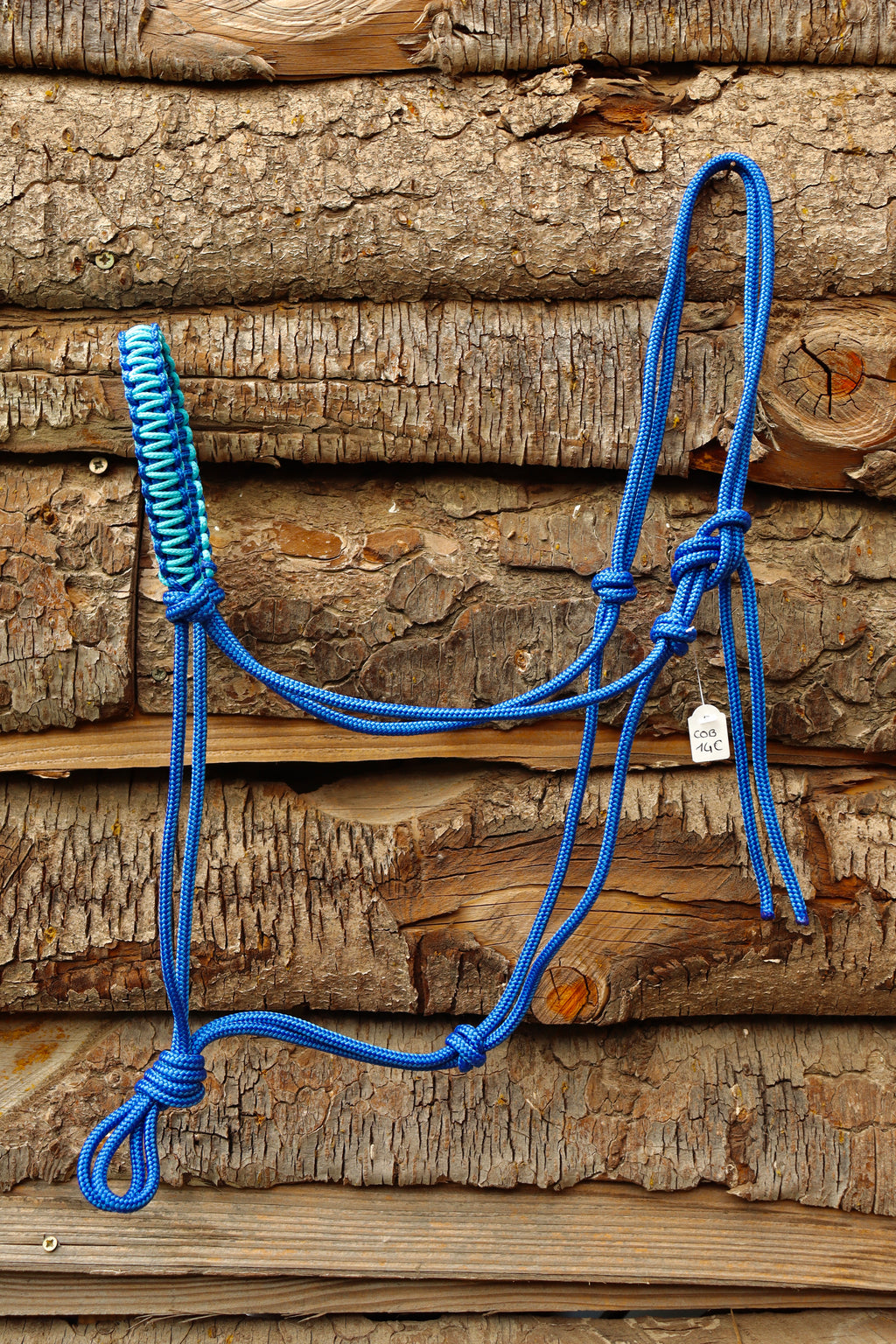 Licol Marrakech - taille cob