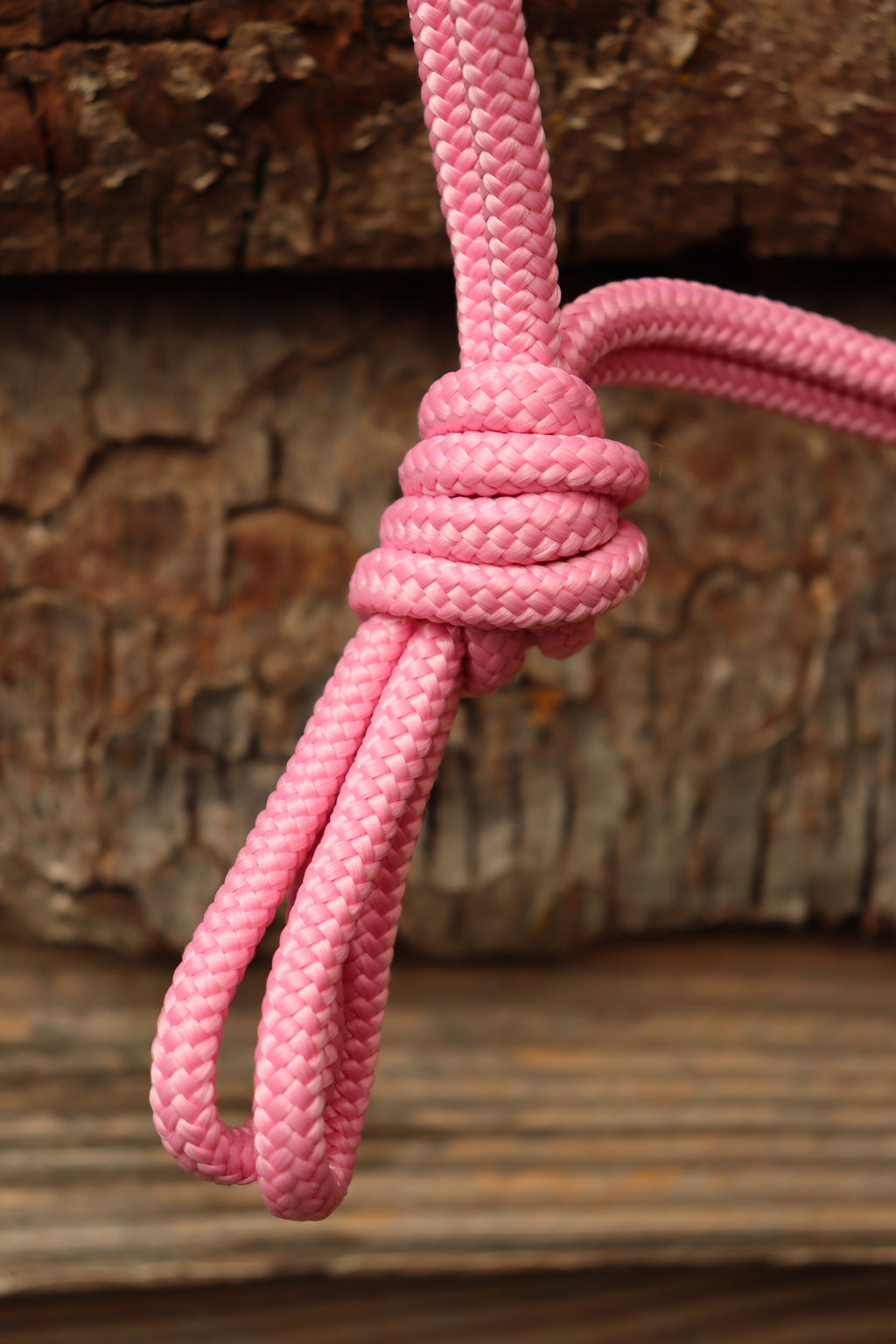 Licol Portofino - taille cob