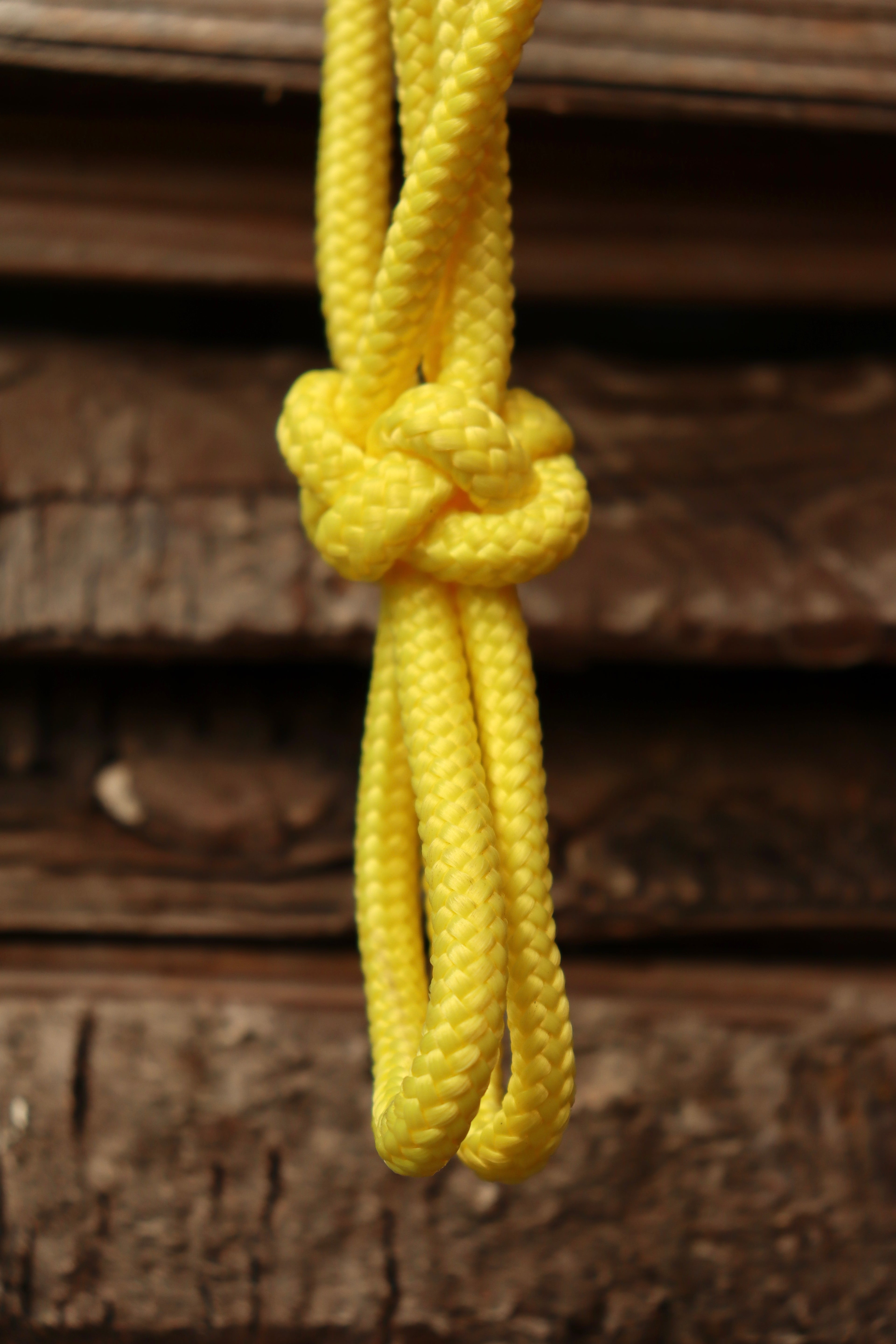 Ensemble d’occasion - Licol cob + longe 3,70m