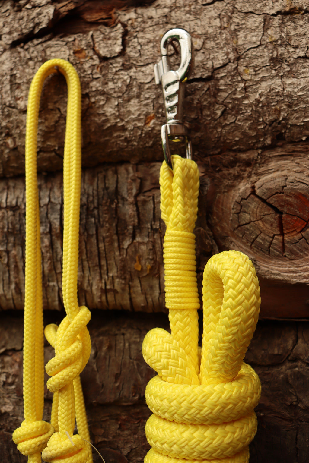Ensemble d’occasion - Licol cob + longe 3,70m