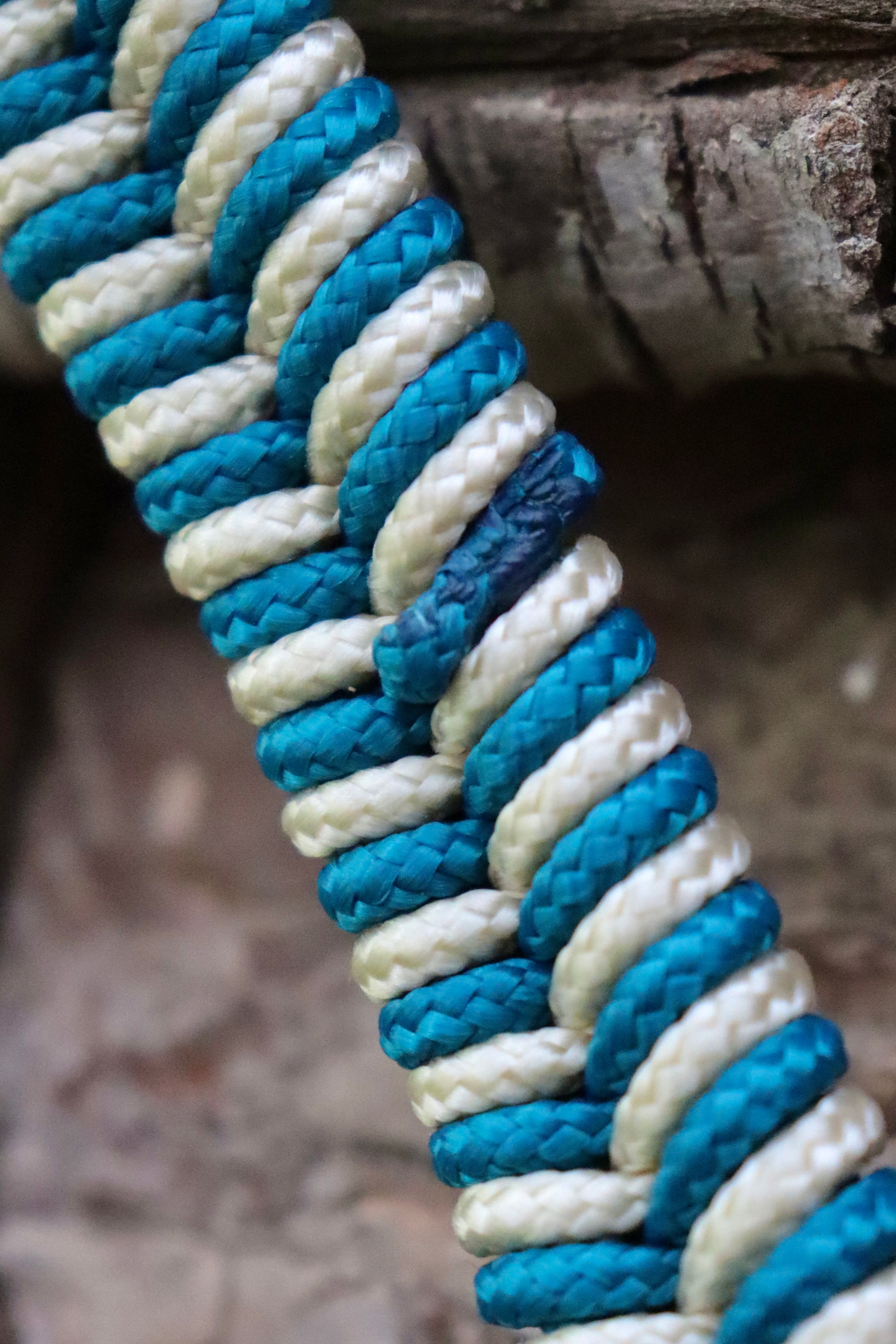 Licol Portofino COB - Destockage