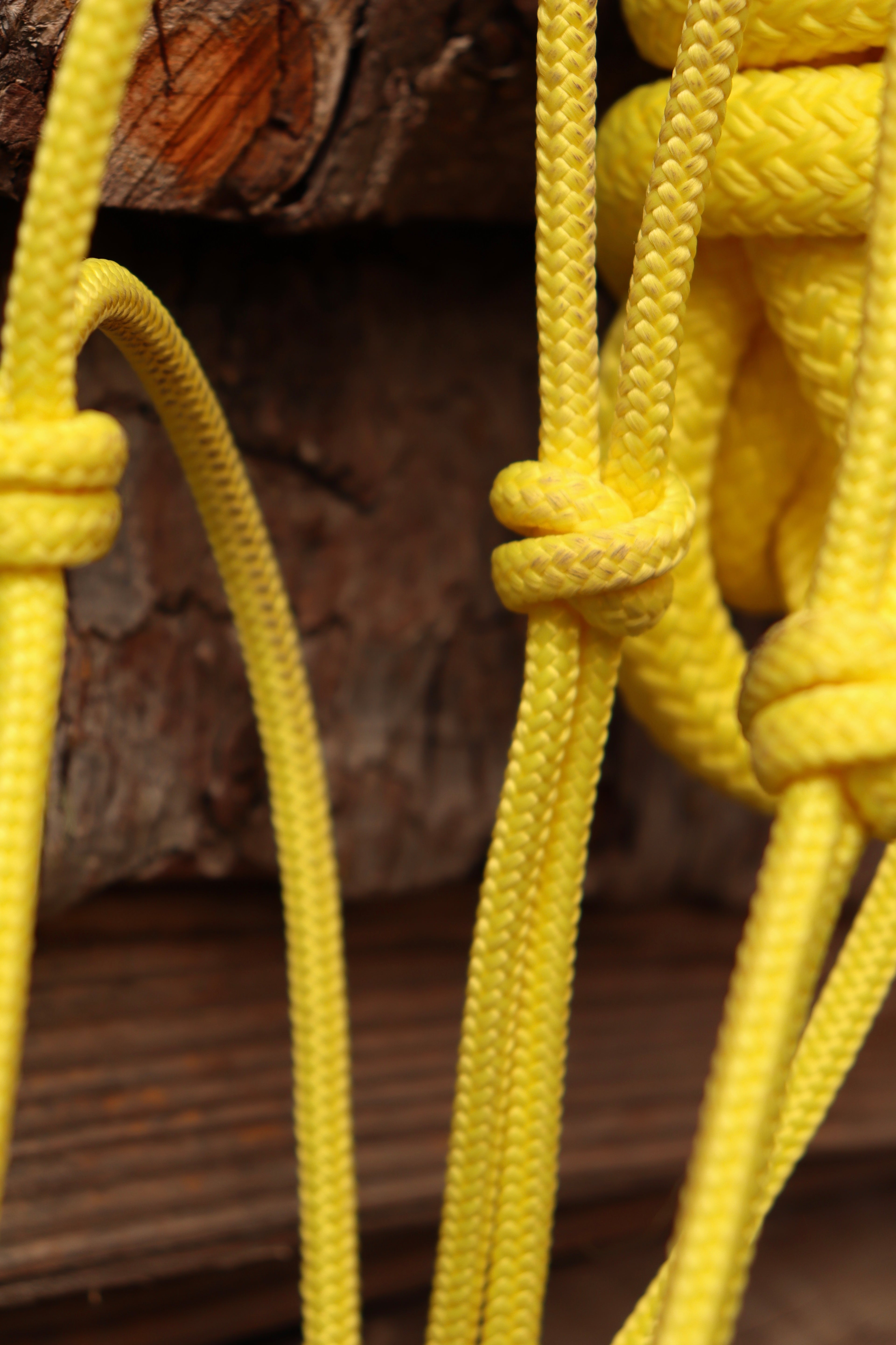 Ensemble d’occasion - Licol cob + longe 3,70m
