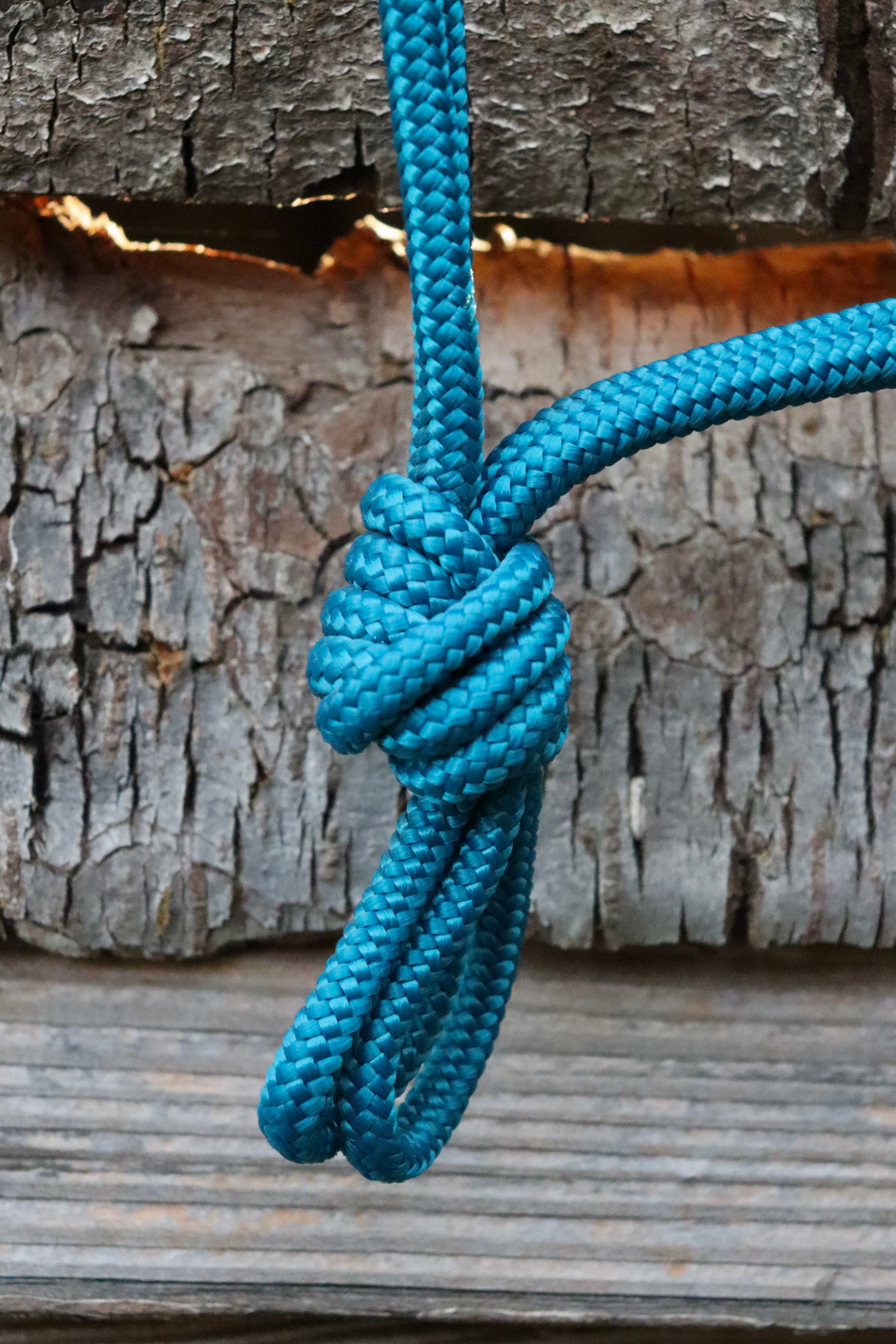 Licol Ibiza COB