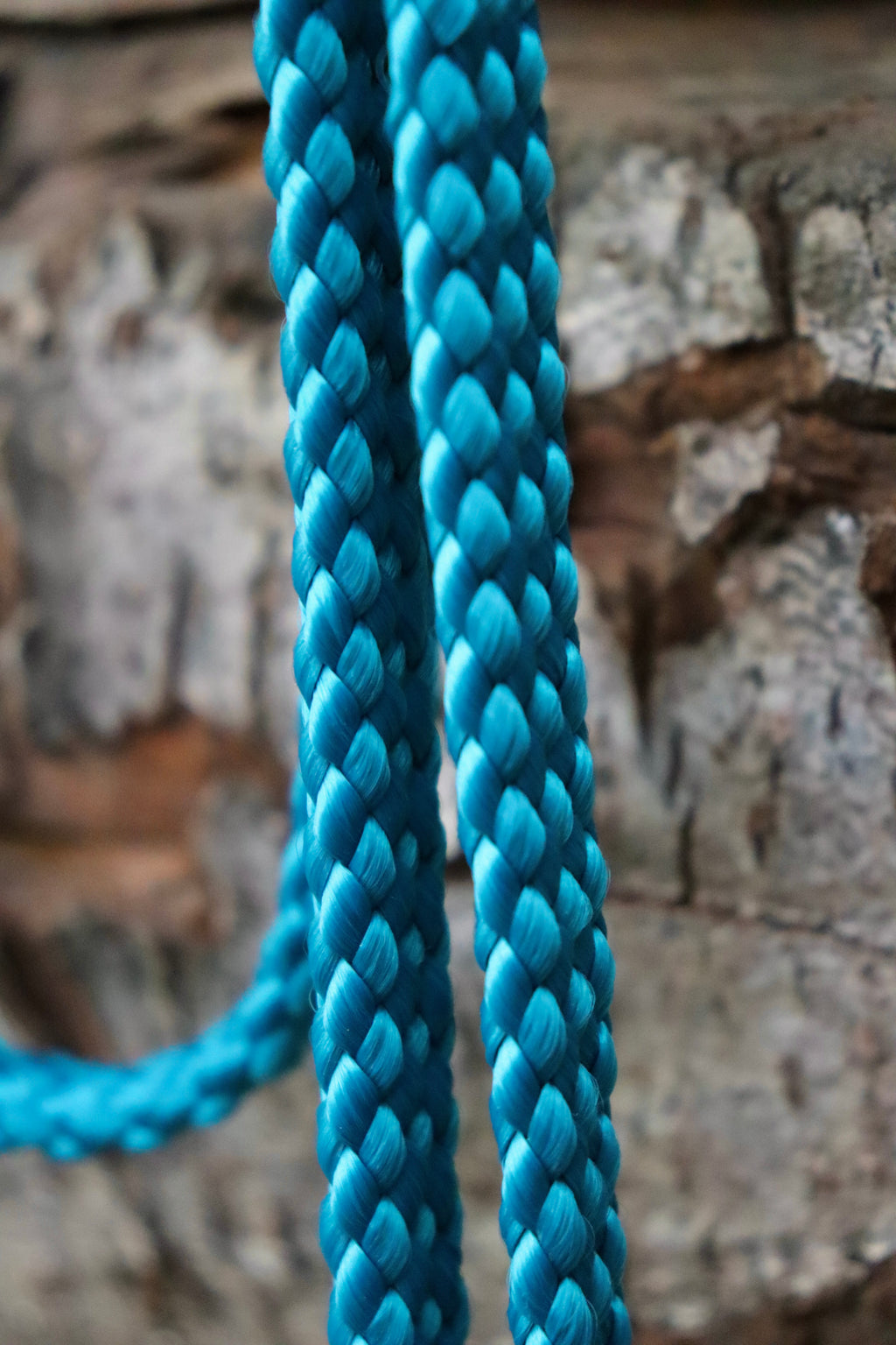 Cordelette pompon - Cob/Cheval