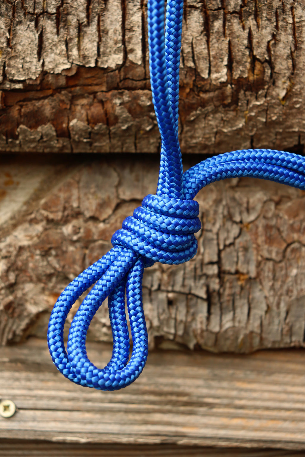 Licol Marrakech - taille cob